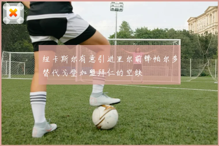 纽卡斯尔有意引进里尔前锋帕尔多替代戈登加盟拜仁的空缺