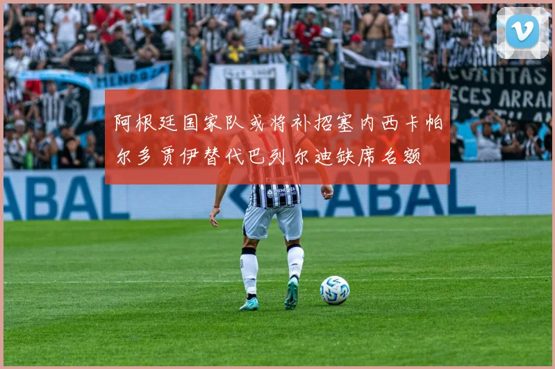 阿根廷国家队或将补招塞内西卡帕尔多贾伊替代巴列尔迪缺席名额